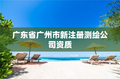 广东省广州市新注册测绘公司资质