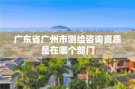 广东省广州市测绘咨询资质是在哪个部门