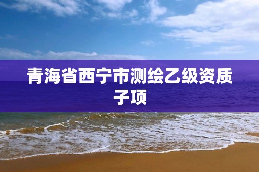 青海省西宁市测绘乙级资质子项