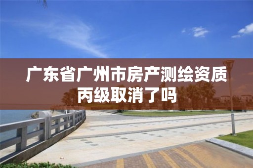 广东省广州市房产测绘资质丙级取消了吗