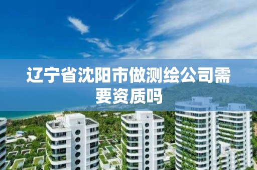 辽宁省沈阳市做测绘公司需要资质吗