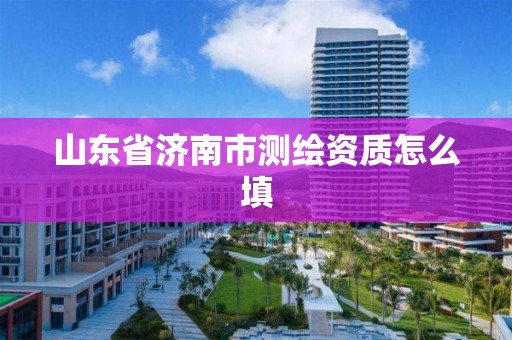 山东省济南市测绘资质怎么填