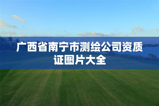 广西省南宁市测绘公司资质证图片大全