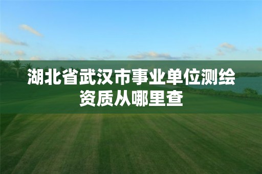 湖北省武汉市事业单位测绘资质从哪里查