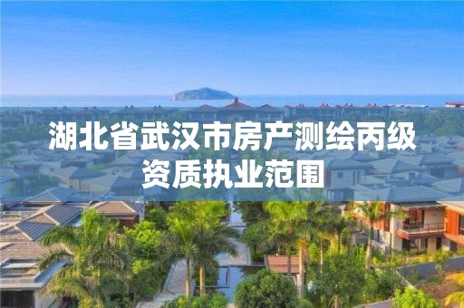 湖北省武汉市房产测绘丙级资质执业范围