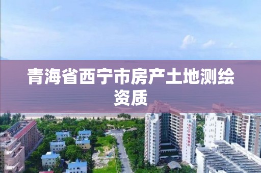 青海省西宁市房产土地测绘资质