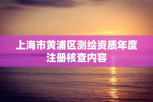 上海市黄浦区测绘资质年度注册核查内容