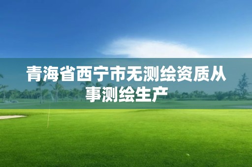 青海省西宁市无测绘资质从事测绘生产