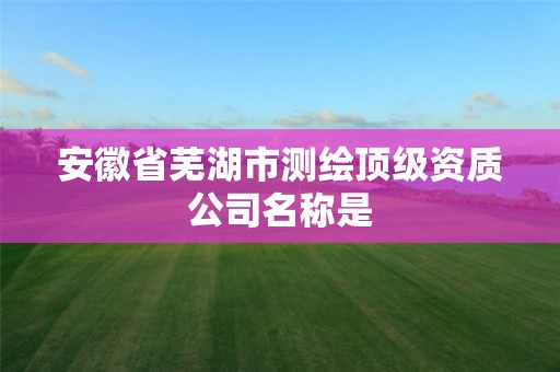 安徽省芜湖市测绘顶级资质公司名称是