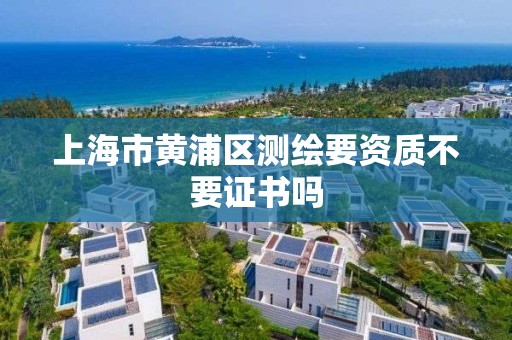 上海市黄浦区测绘要资质不要证书吗