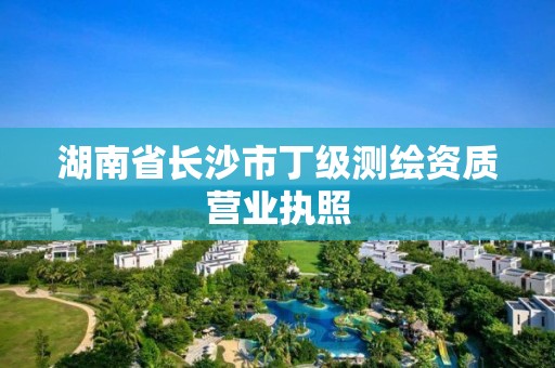 湖南省长沙市丁级测绘资质营业执照