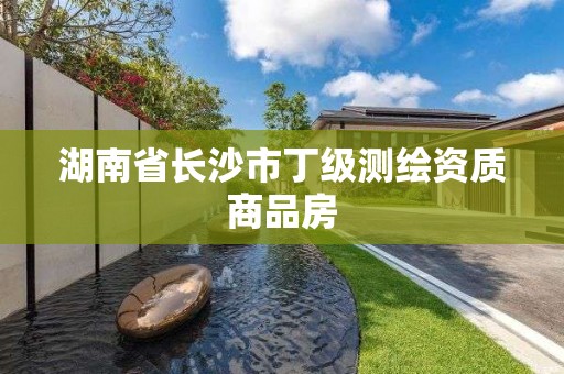 湖南省长沙市丁级测绘资质商品房