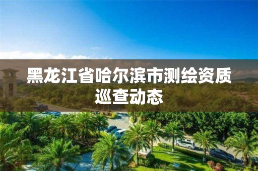 黑龙江省哈尔滨市测绘资质巡查动态