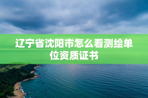 辽宁省沈阳市怎么看测绘单位资质证书