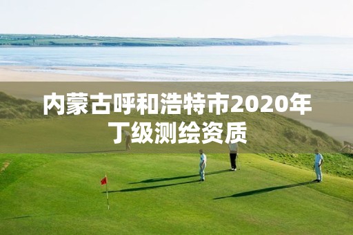 内蒙古呼和浩特市2020年丁级测绘资质