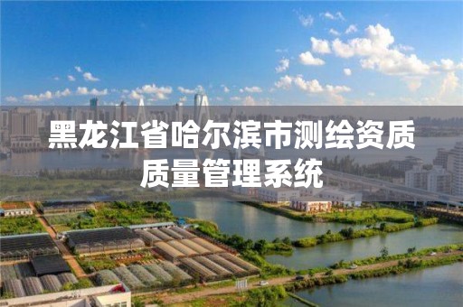 黑龙江省哈尔滨市测绘资质质量管理系统