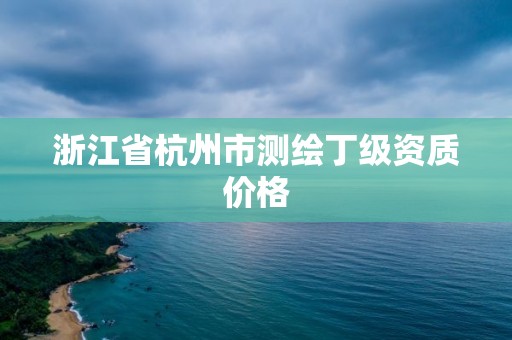 浙江省杭州市测绘丁级资质价格