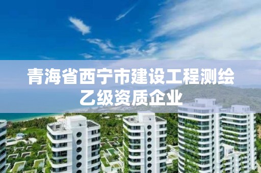 青海省西宁市建设工程测绘乙级资质企业