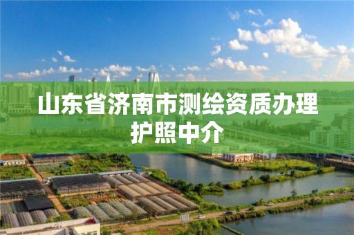 山东省济南市测绘资质办理护照中介