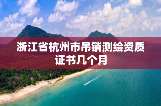 浙江省杭州市吊销测绘资质证书几个月