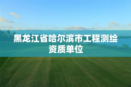 黑龙江省哈尔滨市工程测绘资质单位