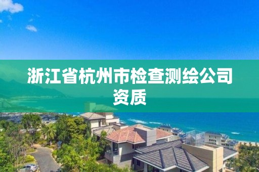 浙江省杭州市检查测绘公司资质