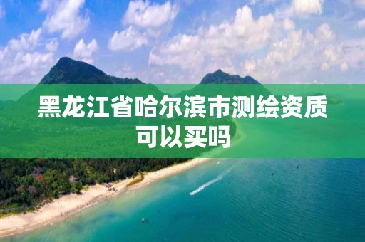 黑龙江省哈尔滨市测绘资质可以买吗