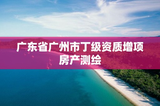 广东省广州市丁级资质增项房产测绘