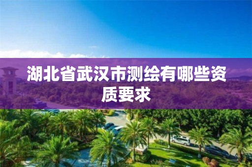 湖北省武汉市测绘有哪些资质要求