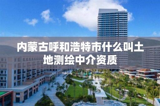 内蒙古呼和浩特市什么叫土地测绘中介资质