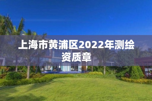 上海市黄浦区2022年测绘资质章