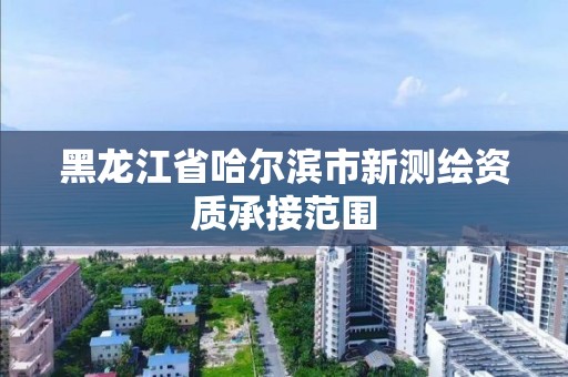 黑龙江省哈尔滨市新测绘资质承接范围