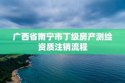 广西省南宁市丁级房产测绘资质注销流程