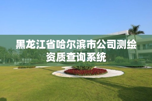 黑龙江省哈尔滨市公司测绘资质查询系统