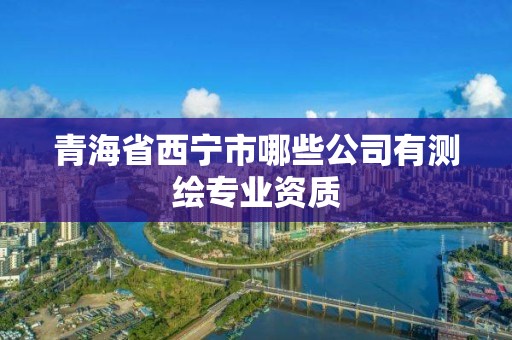 青海省西宁市哪些公司有测绘专业资质