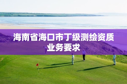 海南省海口市丁级测绘资质业务要求