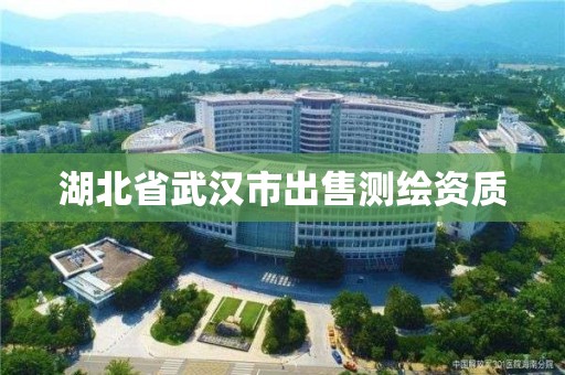 湖北省武汉市出售测绘资质