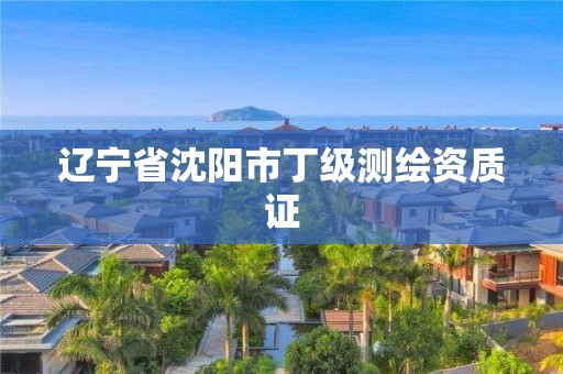 辽宁省沈阳市丁级测绘资质证