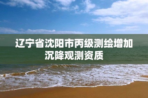 辽宁省沈阳市丙级测绘增加沉降观测资质