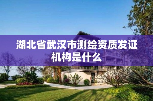 湖北省武汉市测绘资质发证机构是什么