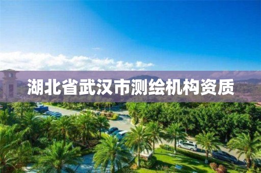 湖北省武汉市测绘机构资质