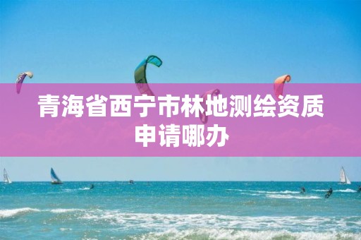 青海省西宁市林地测绘资质申请哪办