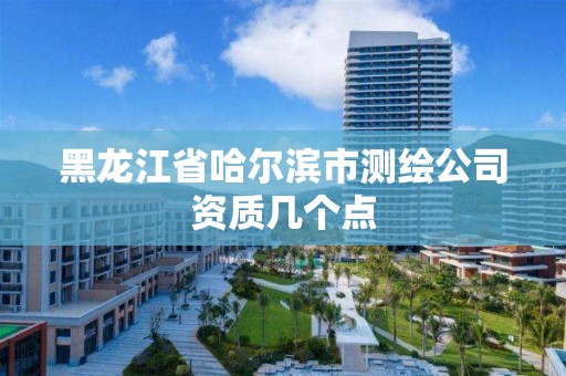 黑龙江省哈尔滨市测绘公司资质几个点