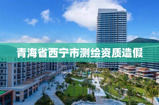 青海省西宁市测绘资质造假