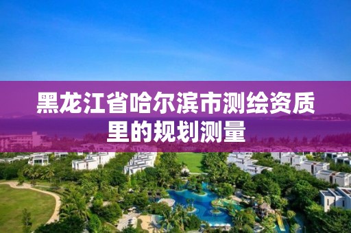 黑龙江省哈尔滨市测绘资质里的规划测量