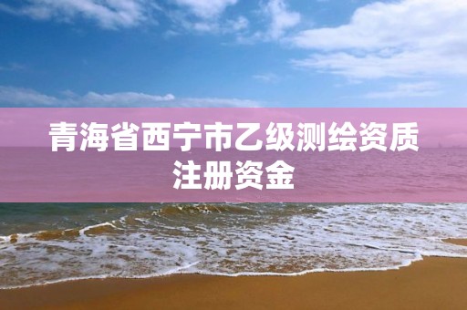 青海省西宁市乙级测绘资质注册资金