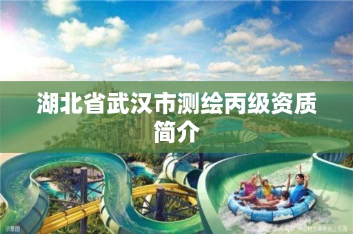 湖北省武汉市测绘丙级资质简介