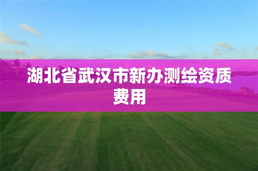 湖北省武汉市新办测绘资质费用