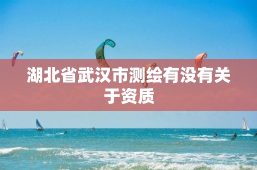 湖北省武汉市测绘有没有关于资质