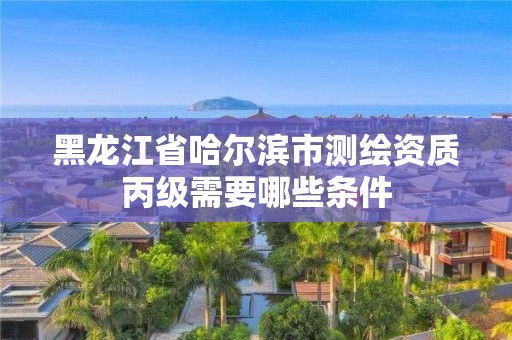 黑龙江省哈尔滨市测绘资质丙级需要哪些条件